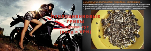 apvp Арсеньев