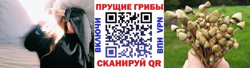 Галлюциногенные грибы мухоморы  Ряжск 